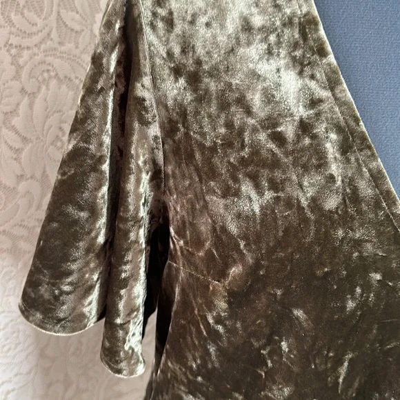 ❌SOLD❌Willow & Root Open Back Velvet Top - Picture 2 of 7